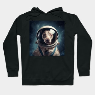 Astro Dog - American Hairless Terrier Hoodie